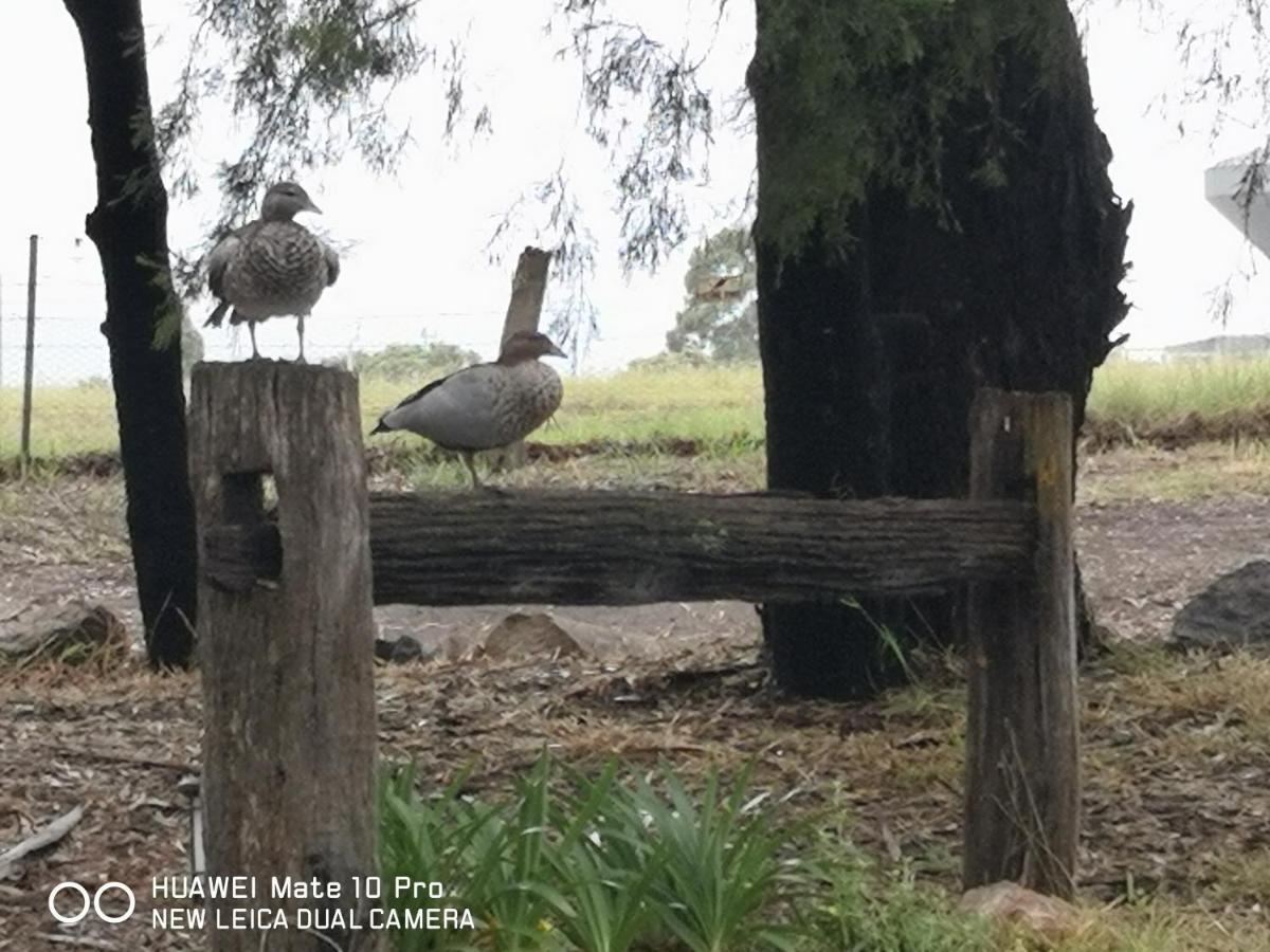 Kalimna Woods Cottages Lakes Entrance Ngoại thất bức ảnh