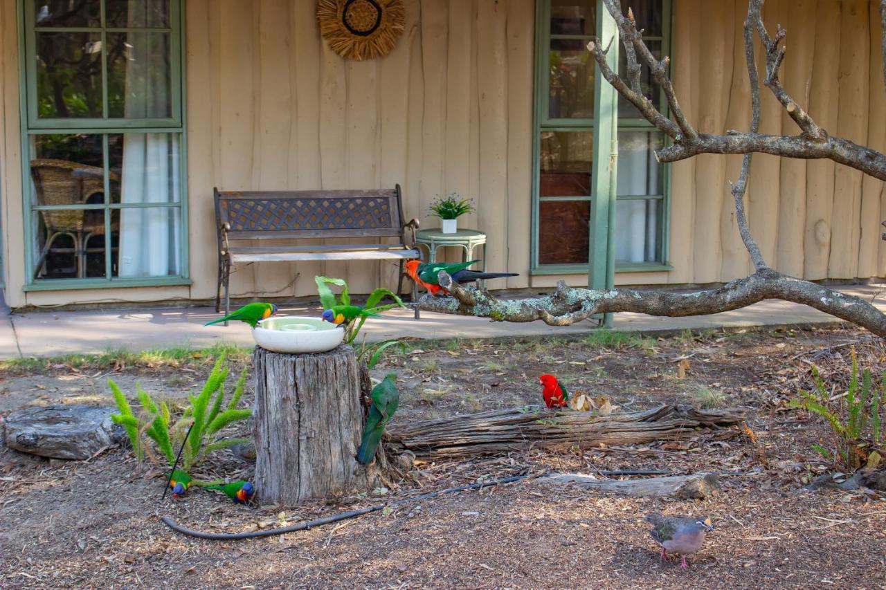 Kalimna Woods Cottages Lakes Entrance Ngoại thất bức ảnh