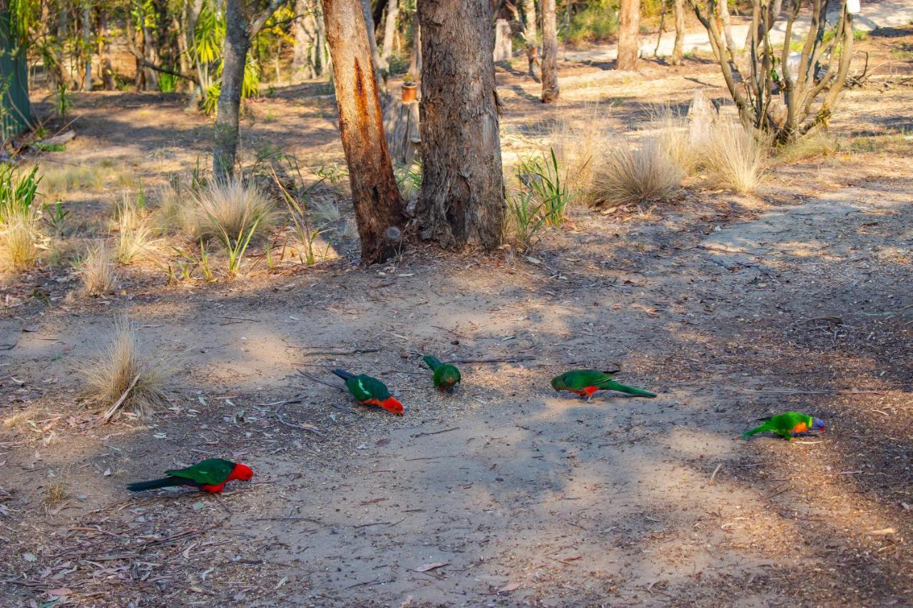 Kalimna Woods Cottages Lakes Entrance Ngoại thất bức ảnh