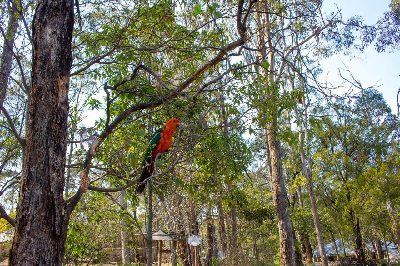 Kalimna Woods Cottages Lakes Entrance Ngoại thất bức ảnh