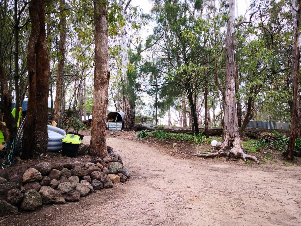 Kalimna Woods Cottages Lakes Entrance Ngoại thất bức ảnh