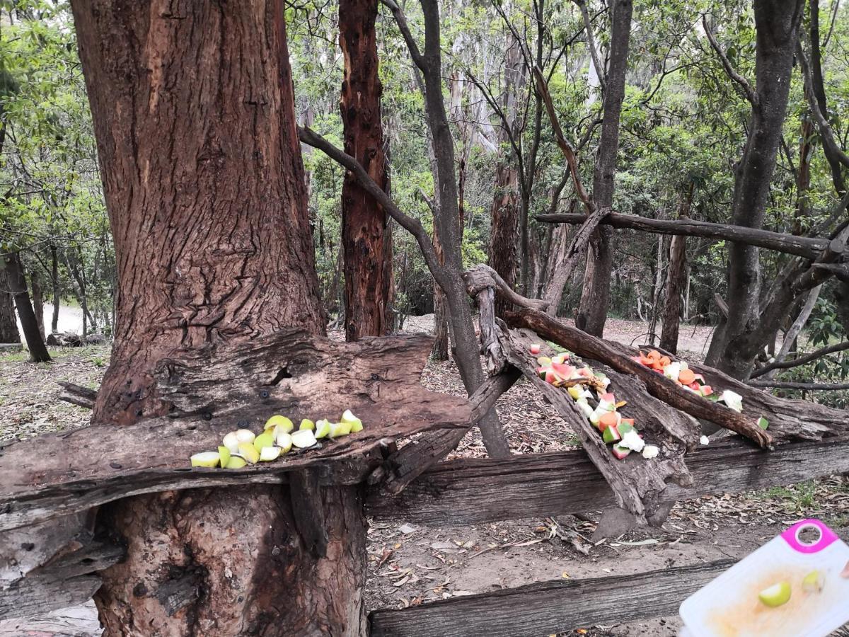 Kalimna Woods Cottages Lakes Entrance Ngoại thất bức ảnh